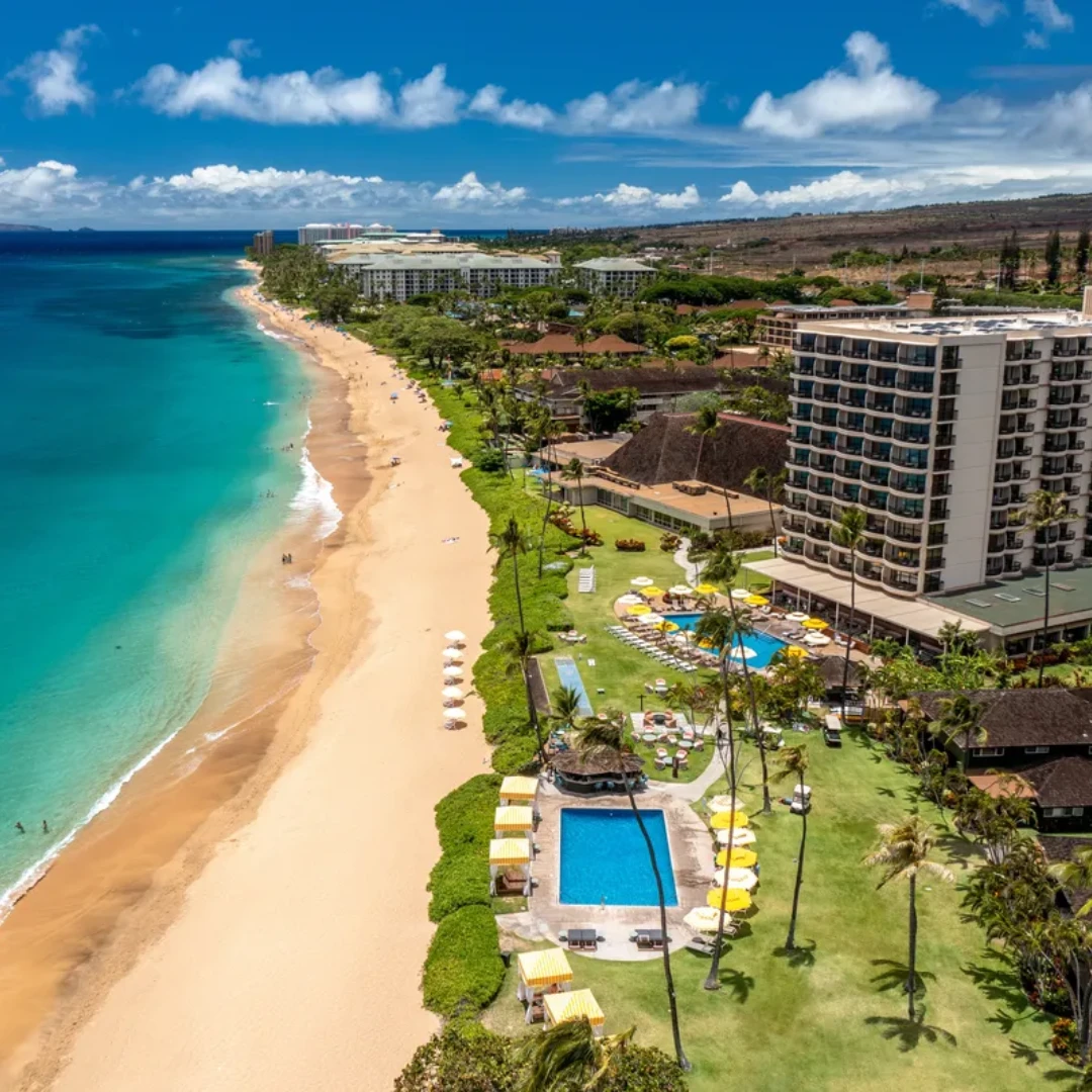 Hawaii Hospitality Management